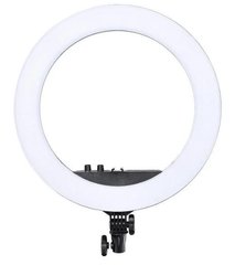 Лампа кільцева світлодіодна HQ-18 з тримачем для телефону 3616 фото