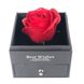 Подарунковий набір троянди з мила 1 троянда I Love You (подарункова коробка для прикрас) + Подарунок 2572 фото 2