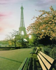 Алмазна мозаїка TMs 8321 "Париж. Ейфелева вежа" 40x50 см в коробці 3975 фото