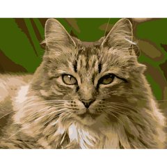 Картина за номерами Strateg ПРЕМІУМ Горда кішка розміром 40х50 см (DY186) DY186-00002 фото
