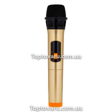 Колонка Bluetooth HOPESTAR A20 PRO + микрофон Оранжевая 6384 фото