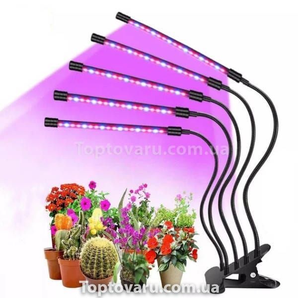 Фіто лампа Led Plant Grow Leight USB 5 ламп 33797 фото