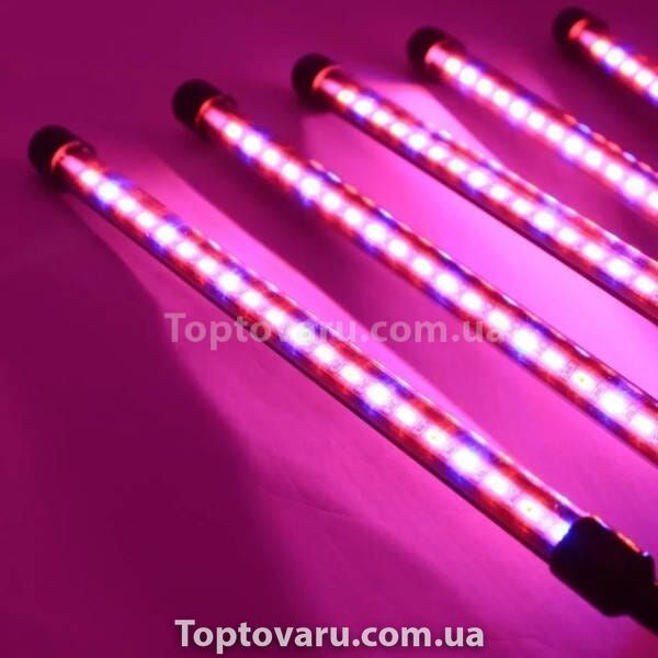 Фіто лампа Led Plant Grow Leight USB 5 ламп 33797 фото