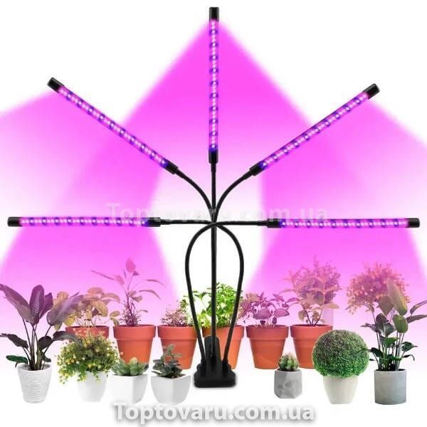 Фіто лампа Led Plant Grow Leight USB 5 ламп 33797 фото