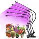 Фіто лампа Led Plant Grow Leight USB 5 ламп 33797 фото 3