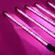 Фіто лампа Led Plant Grow Leight USB 5 ламп 33797 фото 10