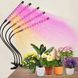 Фіто лампа Led Plant Grow Leight USB 5 ламп 33797 фото 1