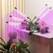 Фіто лампа Led Plant Grow Leight USB 5 ламп 33797 фото 2
