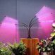 Фіто лампа Led Plant Grow Leight USB 5 ламп 33797 фото 8