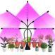 Фіто лампа Led Plant Grow Leight USB 5 ламп 33797 фото 9
