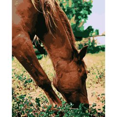 Картина за номерами Strateg ПРЕМІУМ Кінь у лузі розміром 40х50 см (DY108) DY108-00002 фото