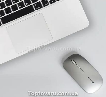Миша комп'ютерна бездротова з підсвічуванням АР100 11673 фото