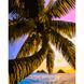 Картина за номерами Strateg ПРЕМІУМ Пальма над морем розміром 40х50 см (GS732) GS732-00002 фото 1