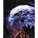 Картина за номерами Strateg ПРЕМІУМ Погляд орла з лаком розміром 40х50 см (SY6874) SY6874-00002 фото 1