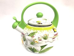 Чайник эмалированный BN-100 Зеленый 5641 фото