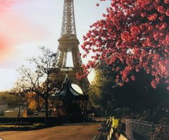 Картина по номерам Y 5526 " Осень в Париже " 40*50см