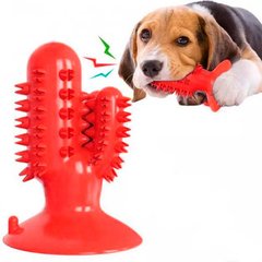 Игрушка для собак Bronzedog PetFun Dental кактус на присоске Красный 10006 фото