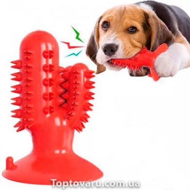 Игрушка для собак Bronzedog PetFun Dental кактус на присоске Красный 10006 фото