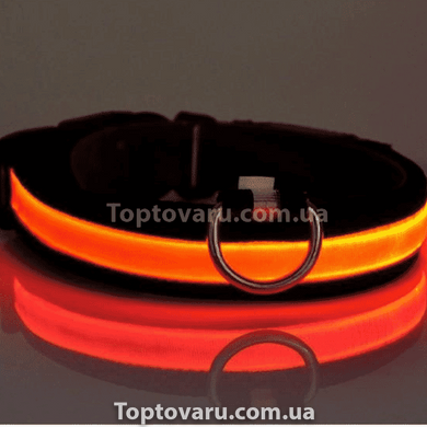 Ошейник для собак светодиодный LED Красный размер M 12322 фото