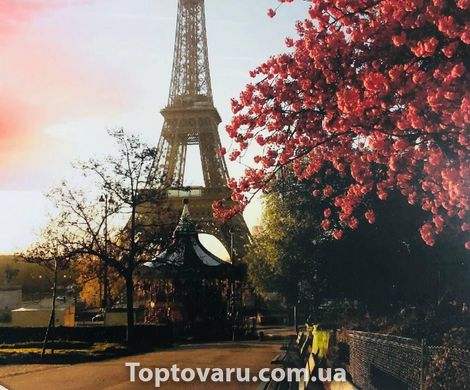 Картина за номерами Y 5526 "Осінь в Парижі" 40 * 50см 3489 фото