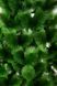 Искусственная сосна 1 м пушистая светло-зеленая Микс 2870 фото 4