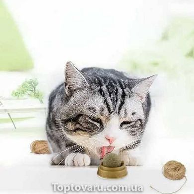 Леденец для кошек Мятный шарик на липучке 14390 фото
