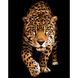 Картина за номерами Strateg ПРЕМІУМ Зустріч з леопардом розміром 40х50 см (DY257) DY257-00002 фото 1