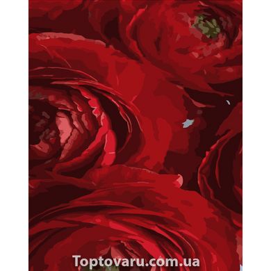 Картина за номерами Strateg ПРЕМІУМ Червоні квіти розміром 40х50 см (DY258) DY258-00002 фото