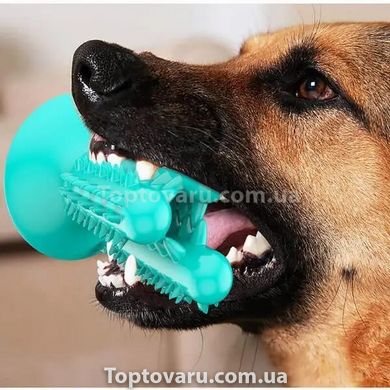 Игрушка для собак Bronzedog PetFun Dental кактус на присоске Бирюзовая 9879 фото