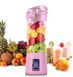 Блендер Smart Juice Cup Fruits USB Рожевий 2 ножі 857 фото 1