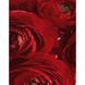 Картина за номерами Strateg ПРЕМІУМ Червоні квіти розміром 40х50 см (DY258) DY258-00002 фото 1