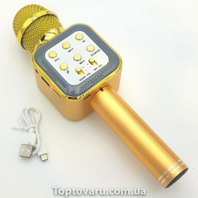 Караоке мікрофон bluetooth WS-1818 Gold + Чохол 1066 фото