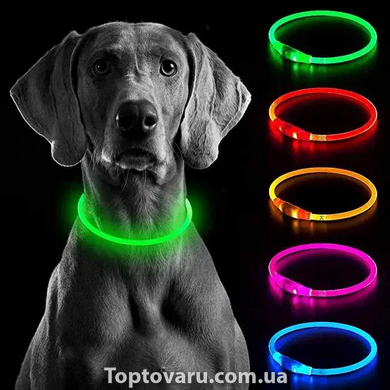 Універсальний нашийник, що світиться, для собак Trox TR-70 Зелений 9844 фото