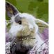 Картина за номерами Strateg ПРЕМІУМ Зайчик у квіточках з лаком розміром 40х50 см (SY6899) SY6899-00002 фото 1