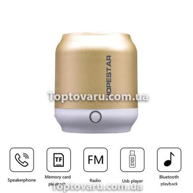 Портативна колонка Bluetooth Hopestar H8 Gold 7497 фото