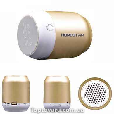 Портативна колонка Bluetooth Hopestar H8 Gold 7497 фото