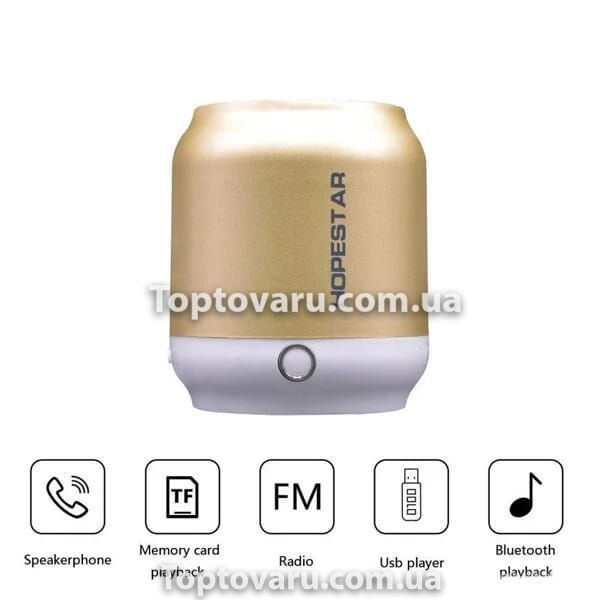 Портативная колонка Bluetooth Hopestar H8 Gold 7497 фото