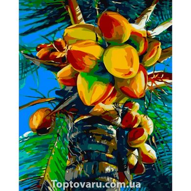 Картина за номерами Strateg ПРЕМІУМ Зелений кокос розміром 40х50 см (GS719) GS719-00002 фото