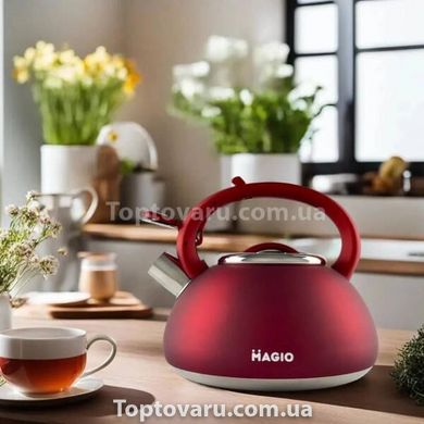 Чайник со свистком MAGIO MG-1193 3л Индукция 14235 фото