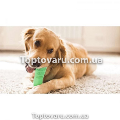 Жувальна іграшка для собак Dog Chew Brush Зелена (S) 4577 фото