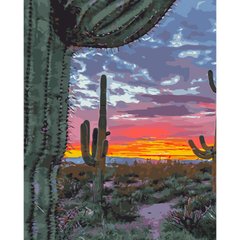 Картина за номерами Strateg ПРЕМІУМ Захід сонця в Техасі розміром 40х50 см (GS628) GS628-00002 фото