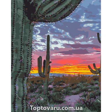 Картина за номерами Strateg ПРЕМІУМ Захід сонця в Техасі розміром 40х50 см (GS628) GS628-00002 фото