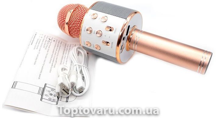 Караоке - микрофон WS 858 microSD FM радио Розово - золотой 162 фото