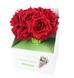 Набір гелевих ручок квітка 16 шт Червона троянда 3595 фото 5