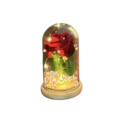 Вечная Роза в колбе с подсветкой в подарочной упаковке Красная маленькая 14662 фото