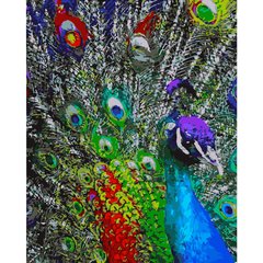 Картина по номерам Strateg ПРЕМИУМ Разноцветные перья павлина размером 40х50 см (GS171) GS171-00002 фото