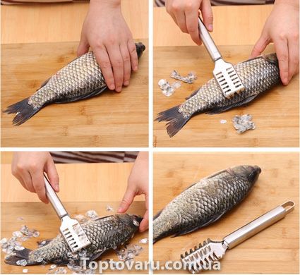 Нож для чистки рыбы BN-943 нержавеющая сталь 5145 фото