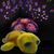 Ночник - проектор черепаха Star Guide желтая 1395 фото