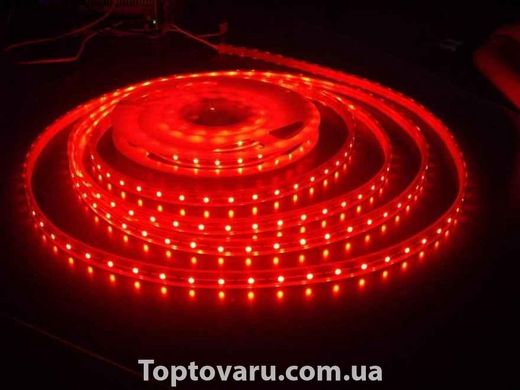 Світлодіодна стрічка 5050 LED Red Червона 100m 220V 5611 фото