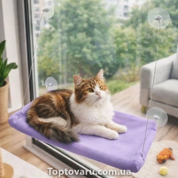 Лежанка для кошек на окно с присосками Window Mounted Cat Bed Фиолетовая 34671 фото